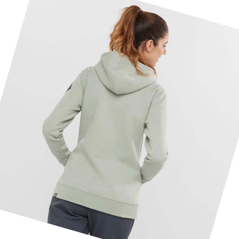 Beige Salomon ESSENTIAL WARM SALOMON Women's Hoodie | GLBSPIV-05