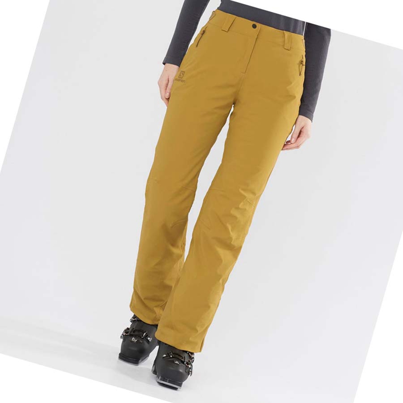 Brown Salomon THE BRILLIANT Women's Ski Pants | ITKPYVE-41