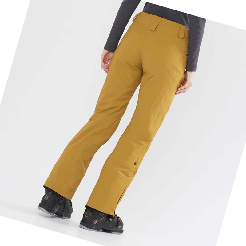 Brown Salomon THE BRILLIANT Women's Ski Pants | ITKPYVE-41