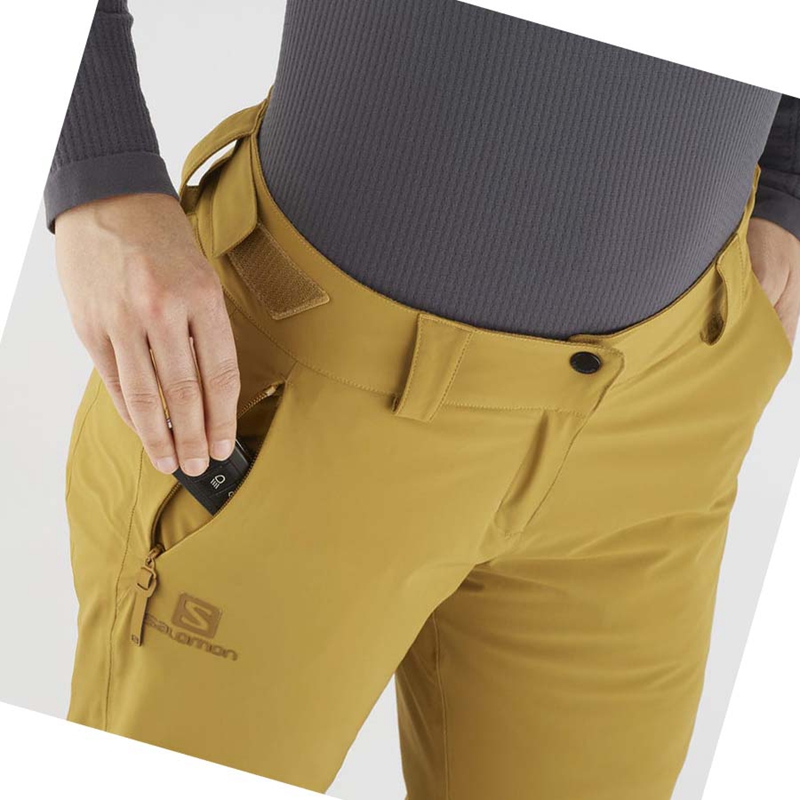 Brown Salomon THE BRILLIANT Women's Ski Pants | ITKPYVE-41