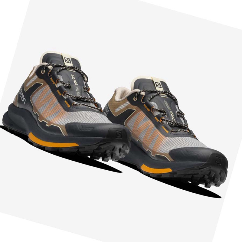 Brown / Silver Salomon ULTRA RAID Men's Sneakers | IXHEVSC-20