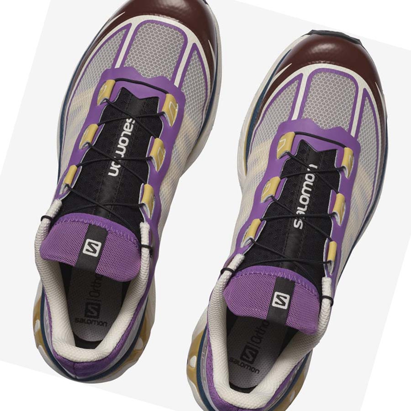 Purple / Chocolate  Salomon XT-6 FT Women's Sneakers | EIMSQJH-92